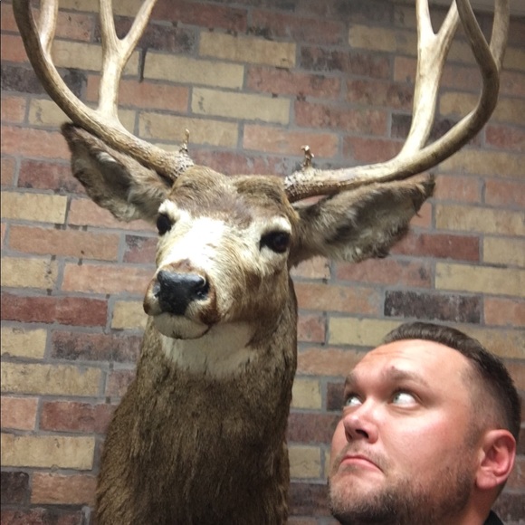 Meet your Posher, Nick - Picture 3 of 4